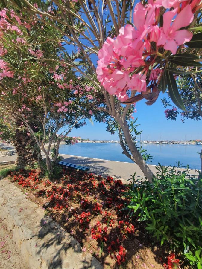 Apartman Mena Bibinje